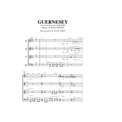 /partitions/Guernesey (4vm)-1997