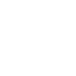 /partitions/Société anonyme (3vm)-(2009)